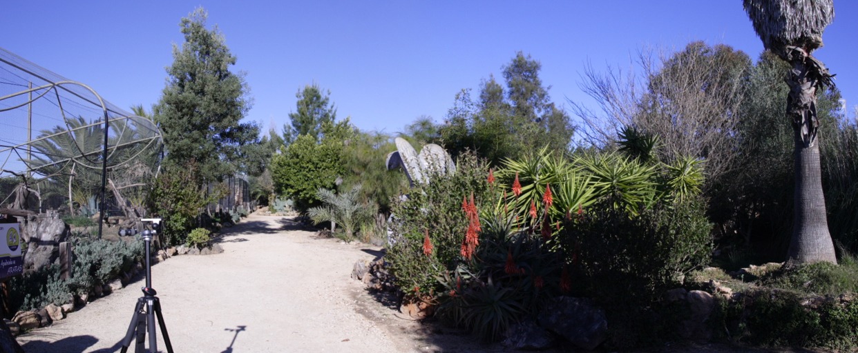 [2] 211208 logos zoo, jpg, 3 images, IMG_4510 - IMG_4512 - 1242x512 - SCUL-Smartblend.jpg - cages des Aras à gauche